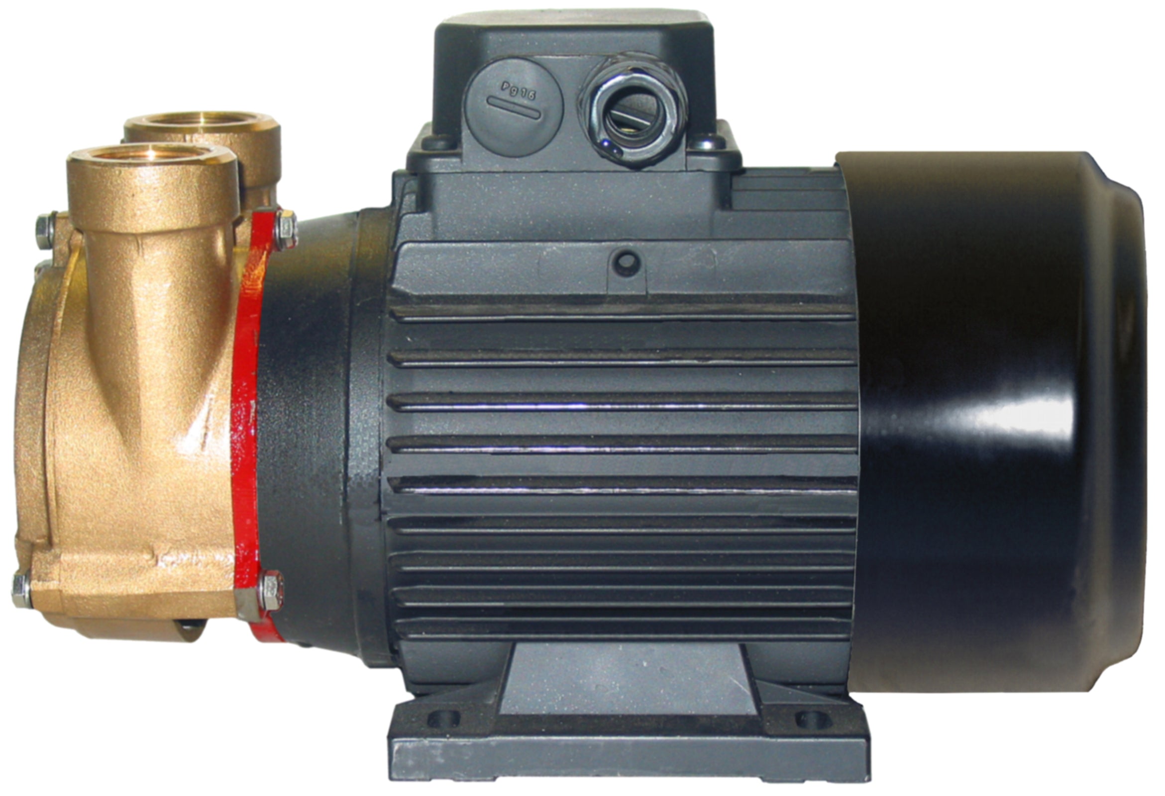 ChasNewensMarine, 1" Bronze Regenerative Turbine Motor Pump Unit Complete with 1.1kW 400v/3 phase/50Hz 2900rpm IP55 electric motor. -  PC25EM2T50V400